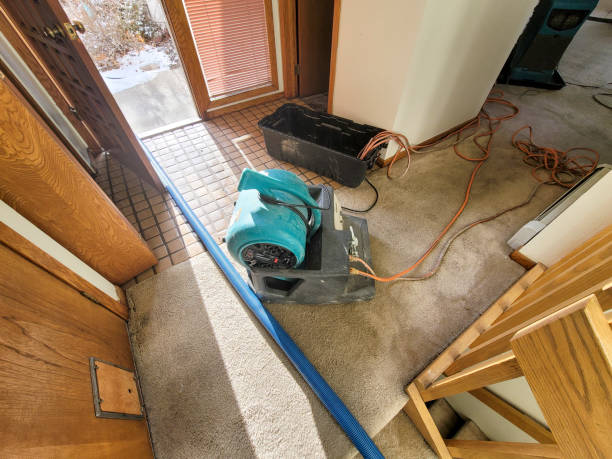 Professional Water damage restoration in Ashland, OH