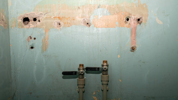 Best Residential water damage restoration  in Ashland, OH