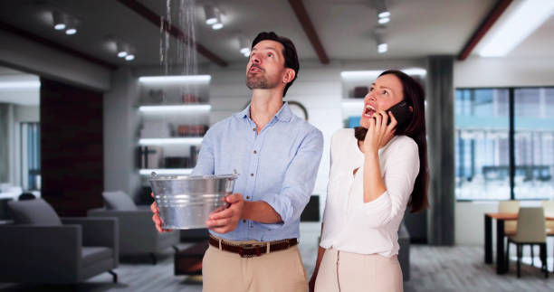 Best 24/7 water damage repair  in Ashland, OH