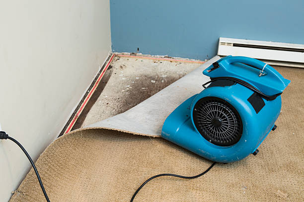  Ashland, OH Water damage restoration Pros
